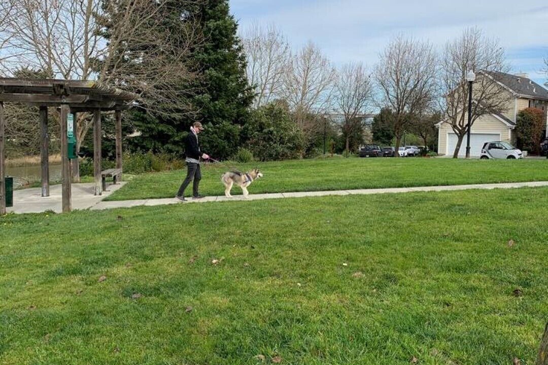Photo of Others in Petaluma