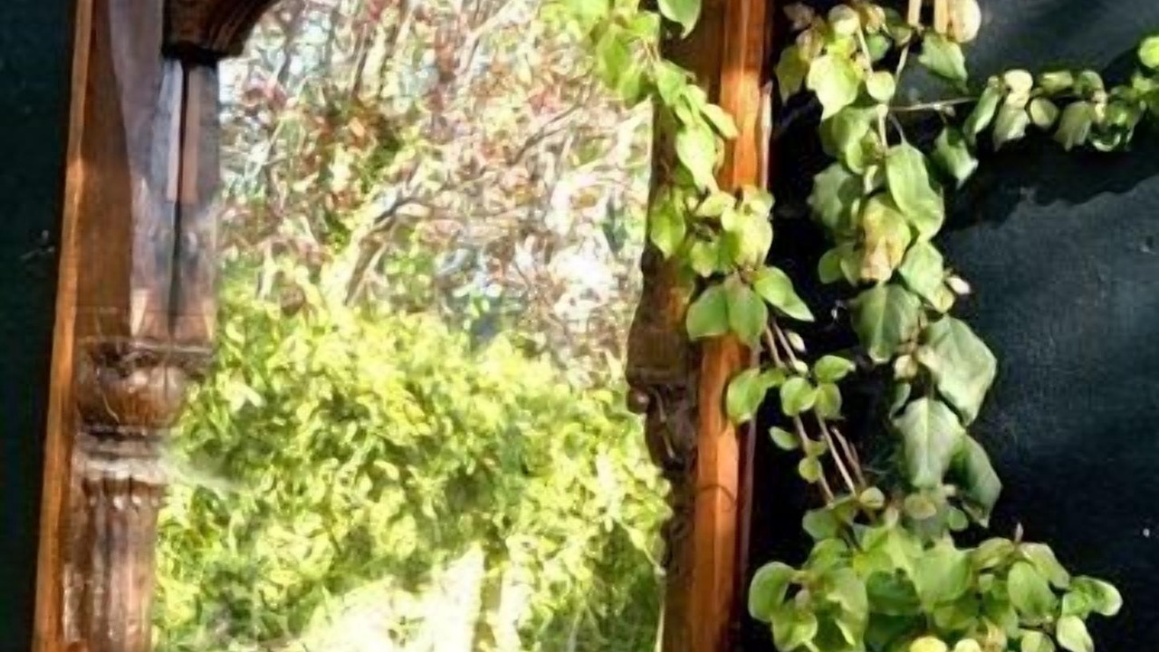 Photo of Outdoor in Mar Vista