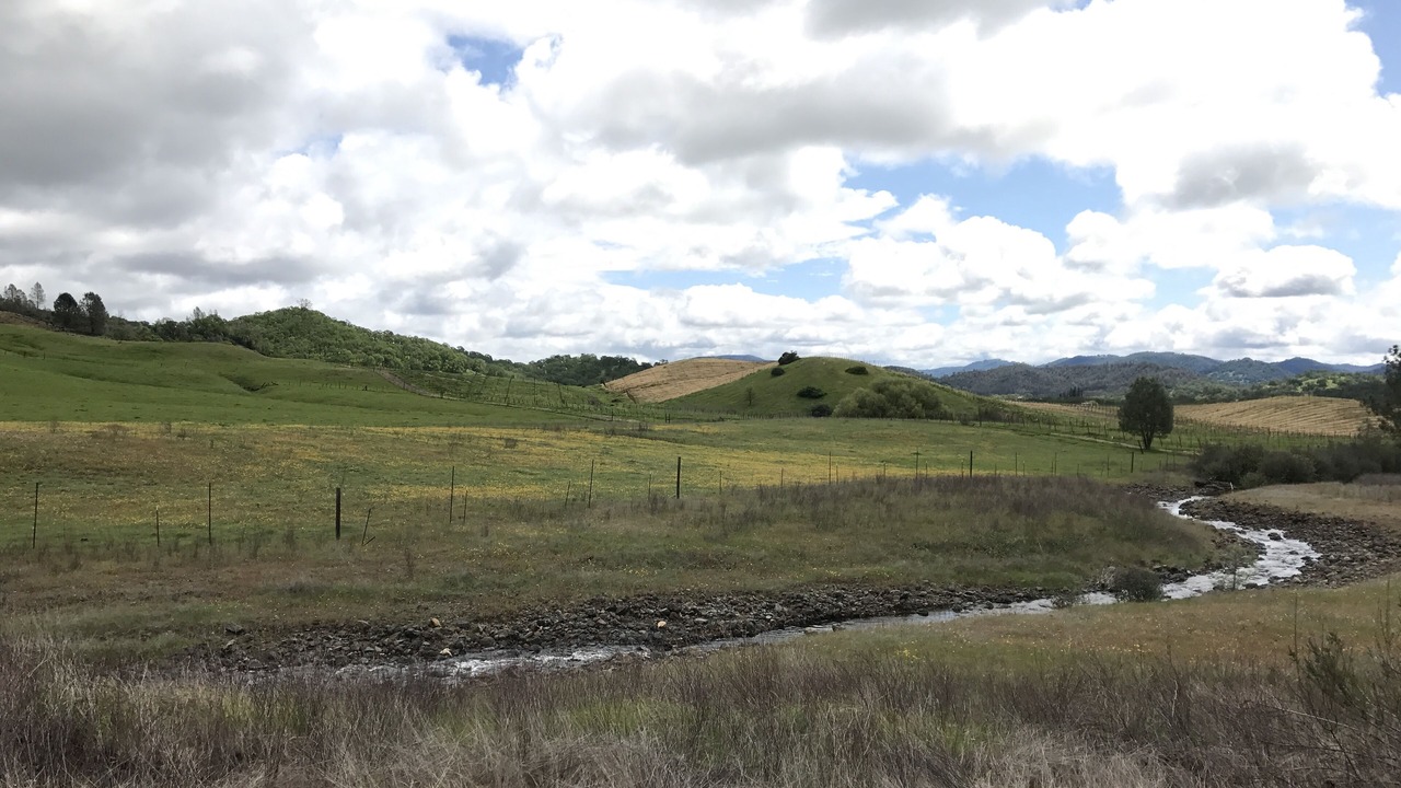 Photo of Others in Pope Valley