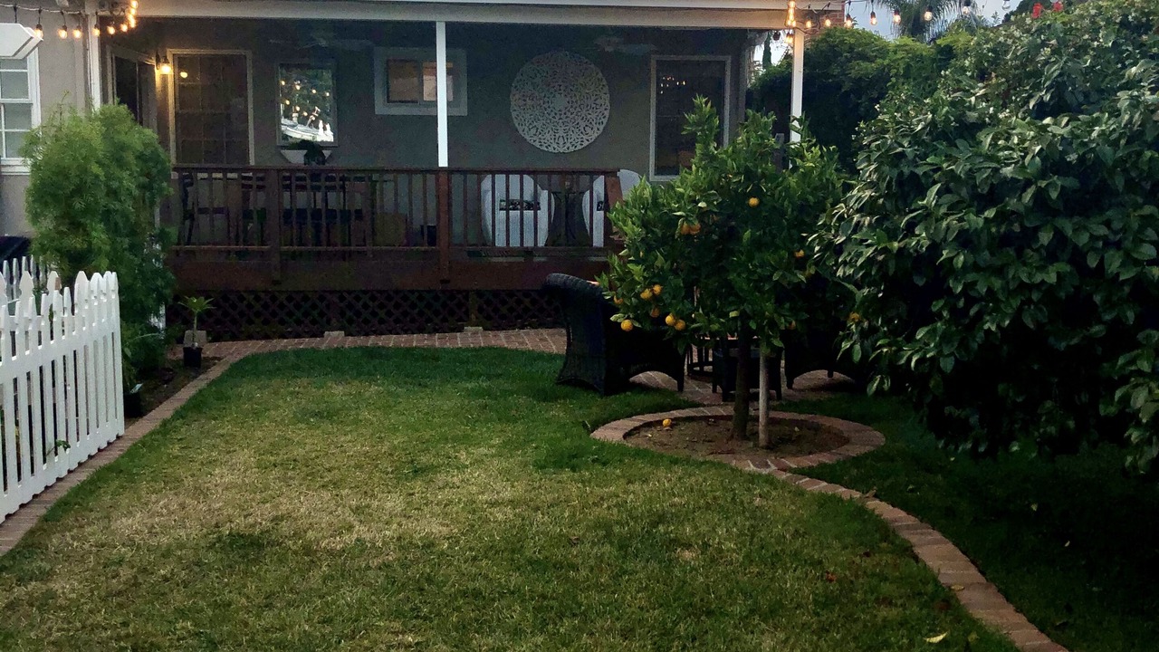 Photo of Outdoor in North Pacific Beach