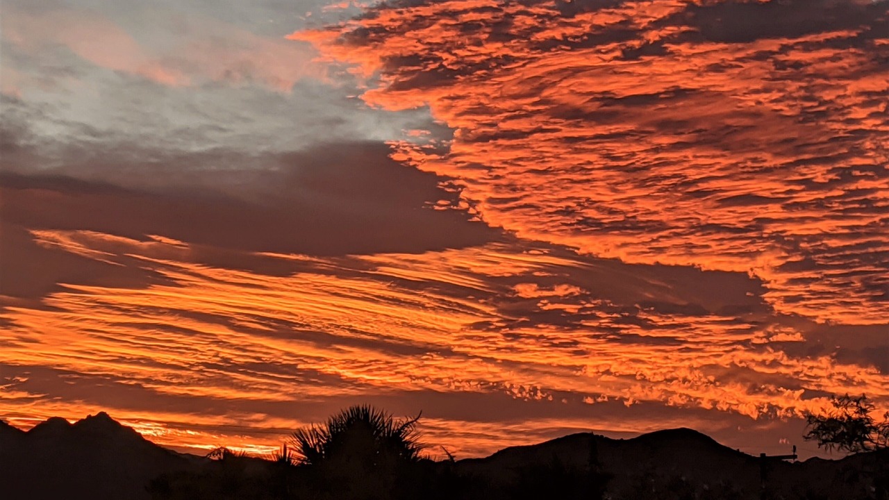 Photo of Others in Yucca Valley