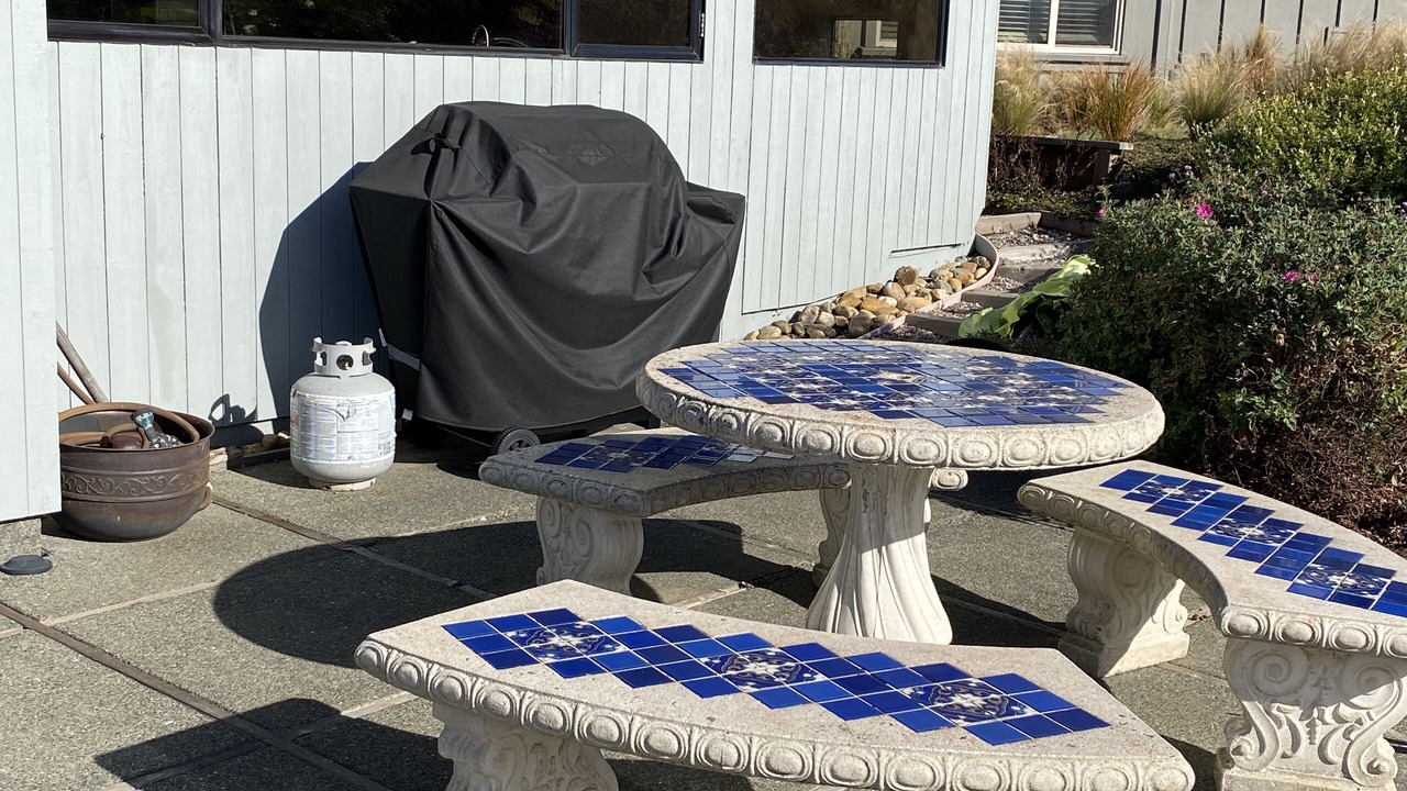 Photo of Outdoor in Bodega Bay