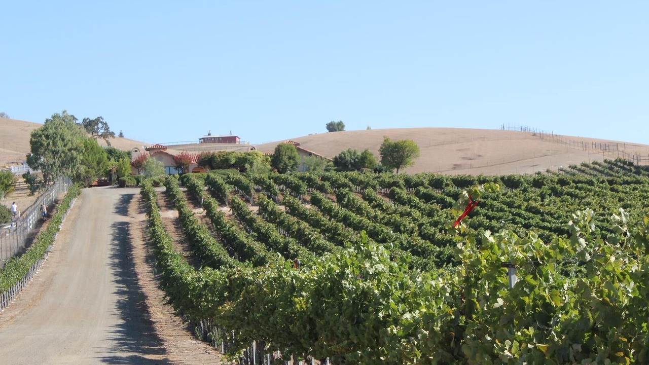 Photo of Outdoor in Paso Robles