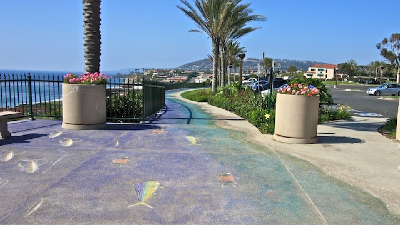 Photo of Others in Dana Point