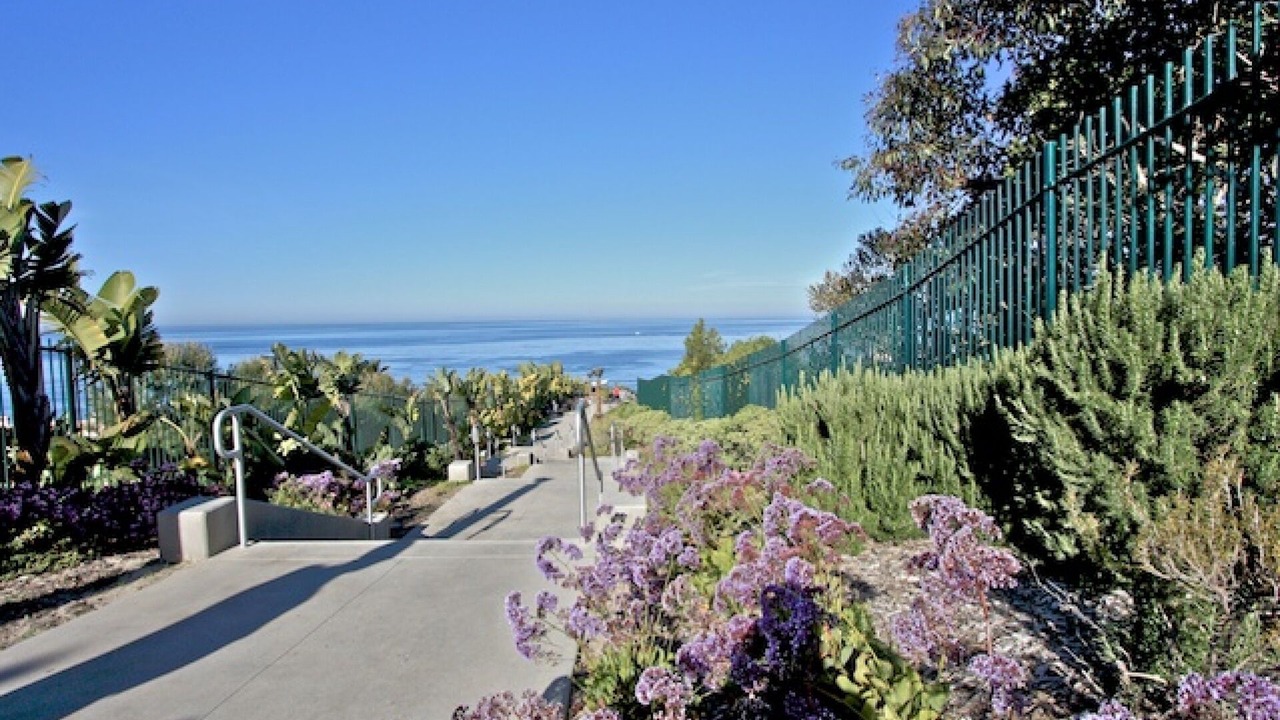 Photo of Others in Dana Point