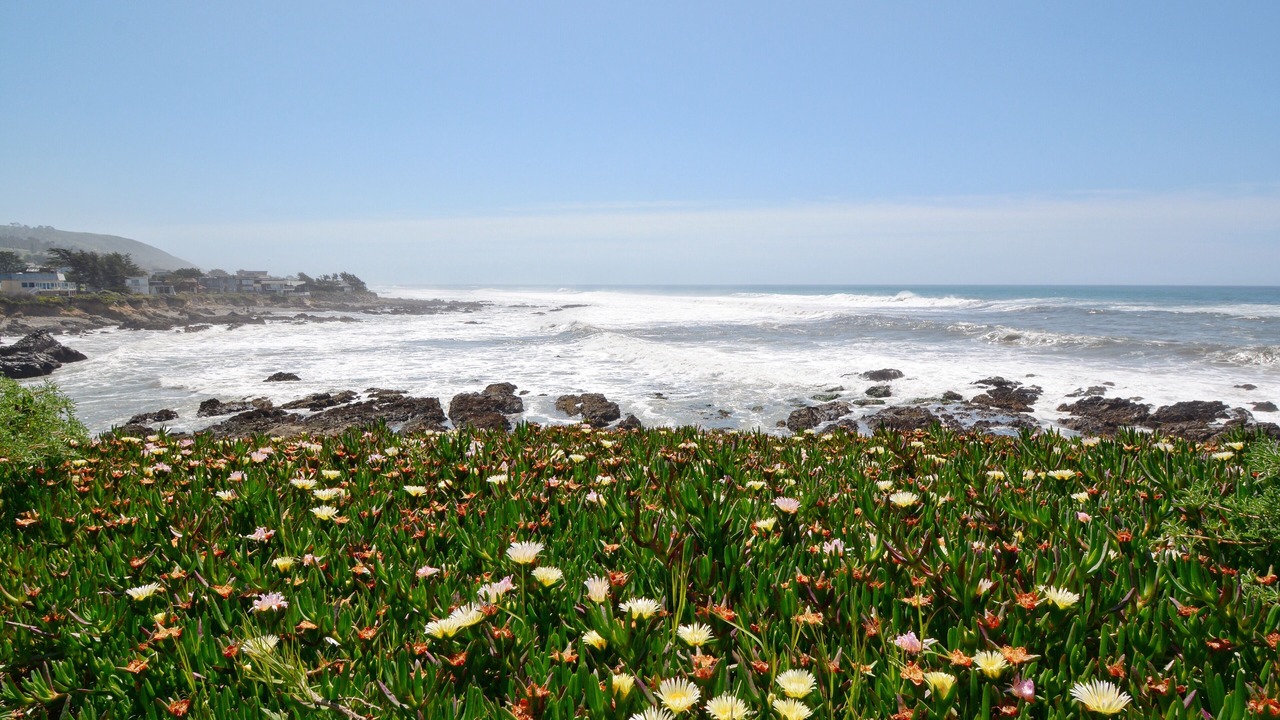 Photo of Others in Marine Terrace
