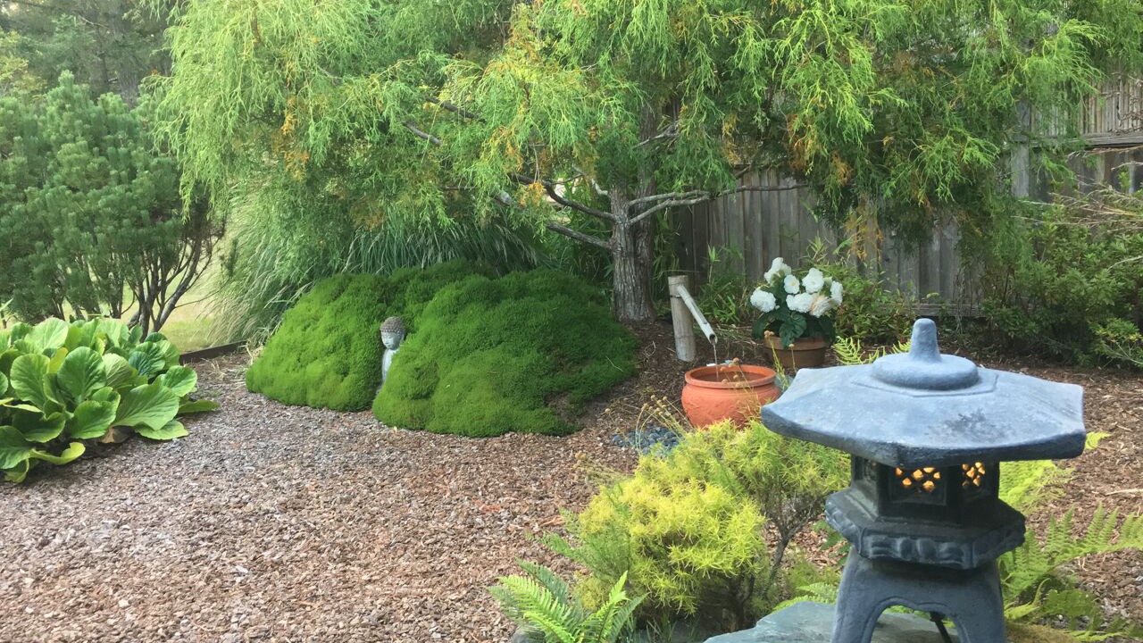Photo of Outdoor in Mendocino