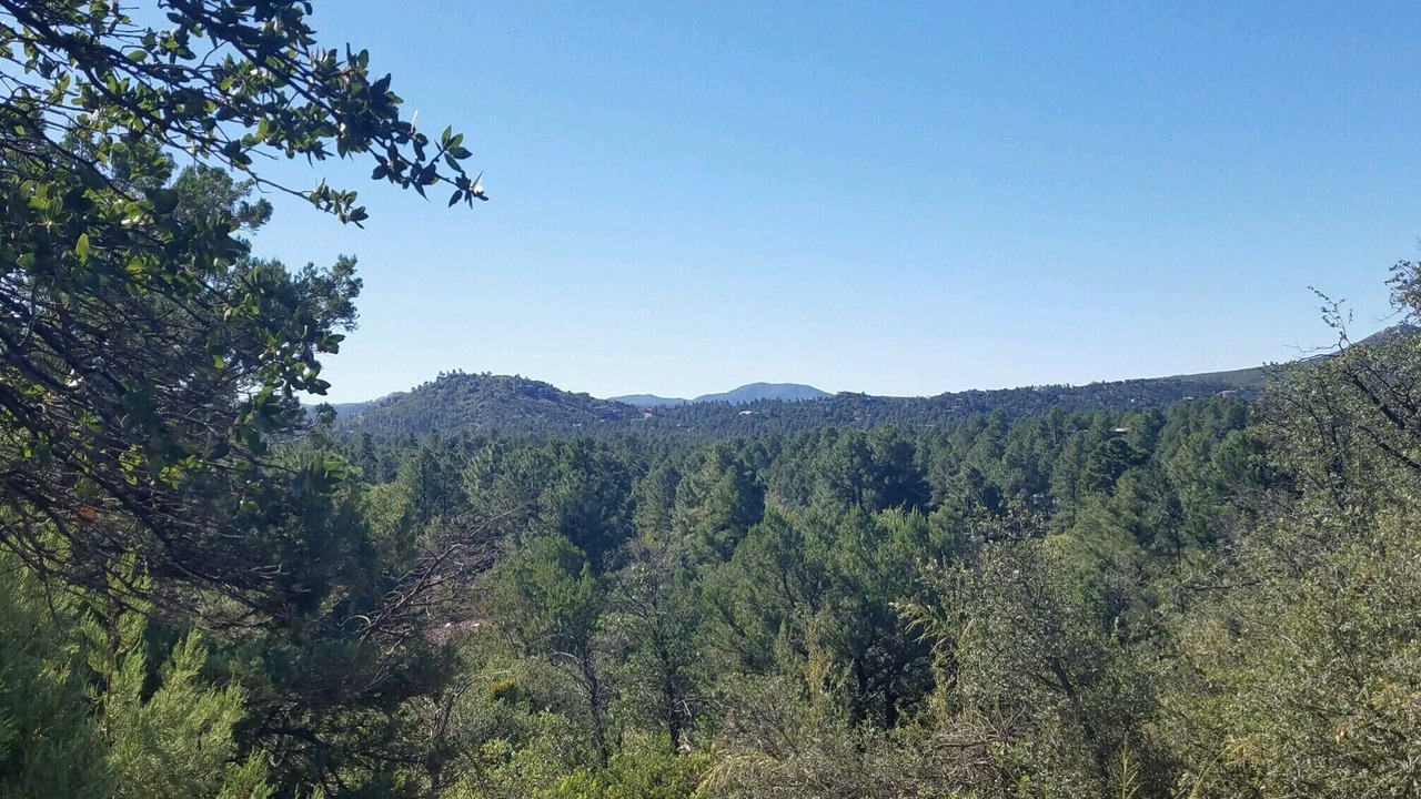 Photo of Others in Prescott