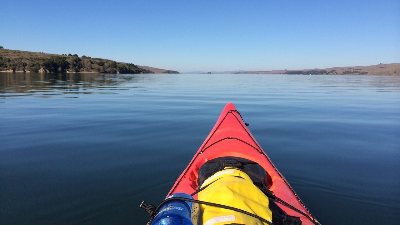 Photo of Others in Bodega Bay