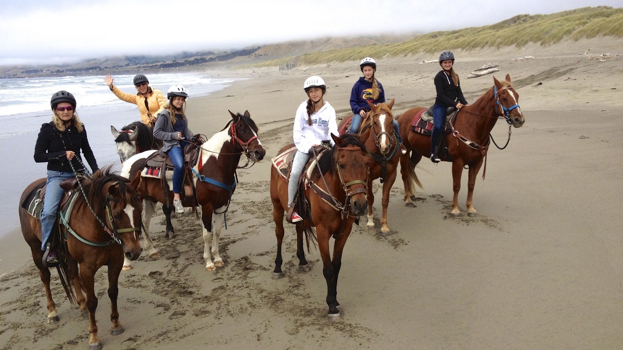Photo of Others in Bodega Bay