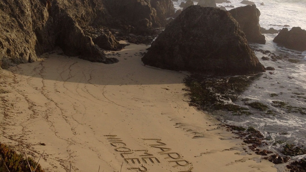 Photo of Others in Bodega Bay