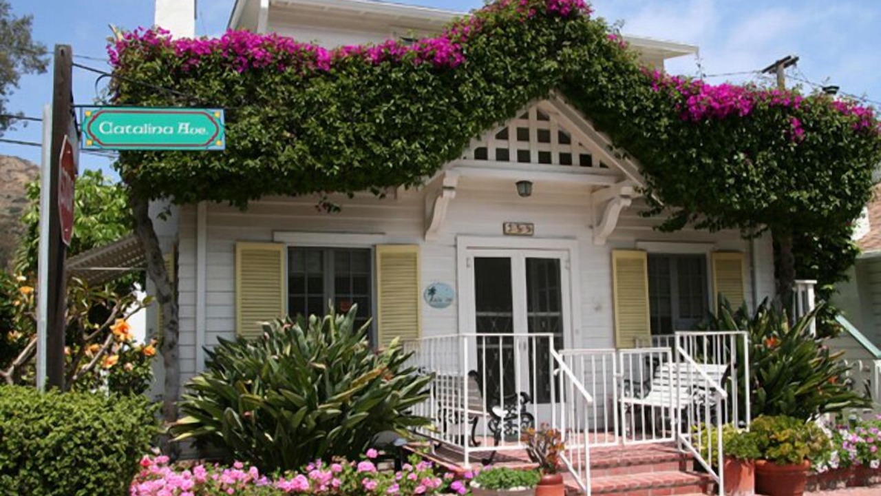 Photo of Others in Avalon