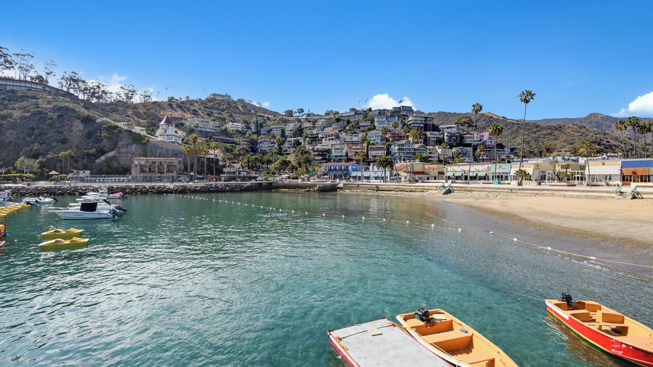 Photo of Others in Avalon
