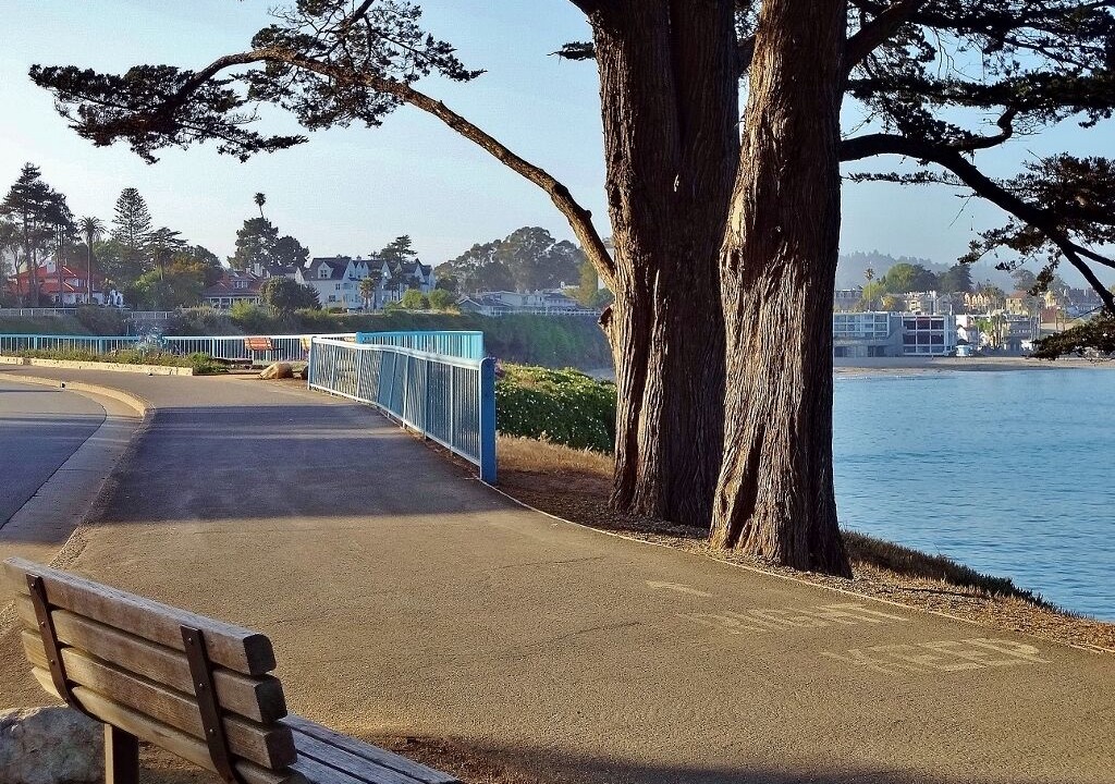 Photo of Others in Westside Santa Cruz
