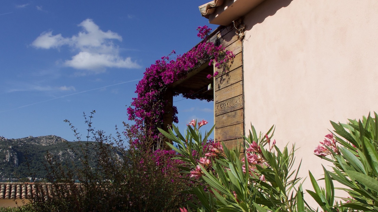 Photo of Outdoor in Santa Giulia