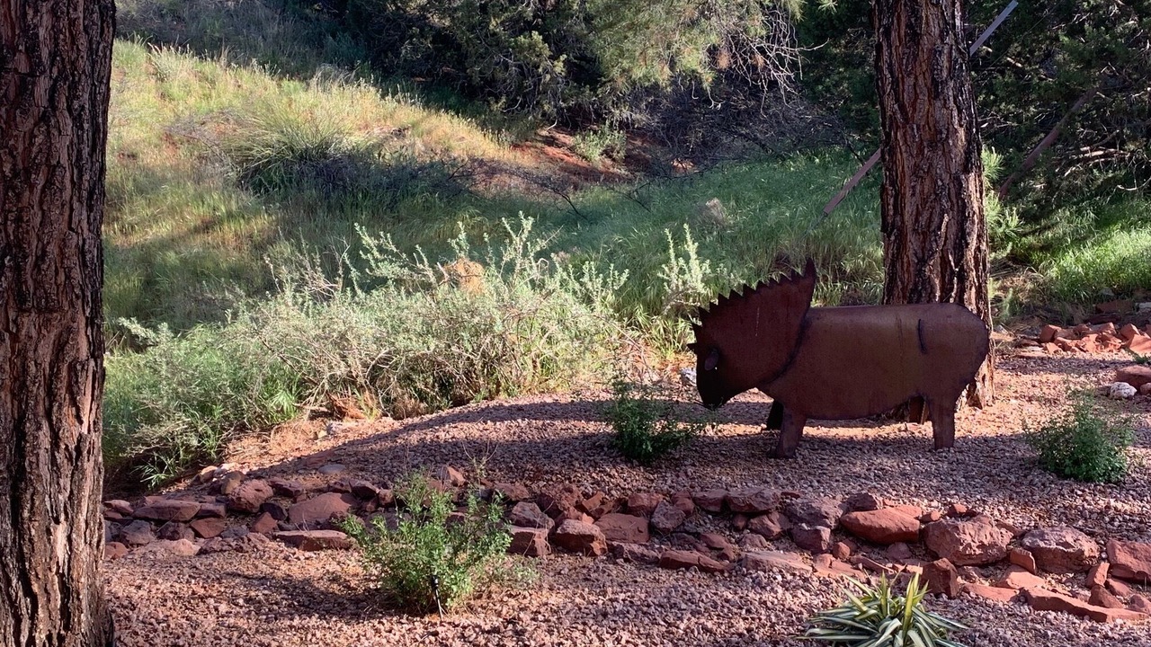 Photo of Others in West Sedona