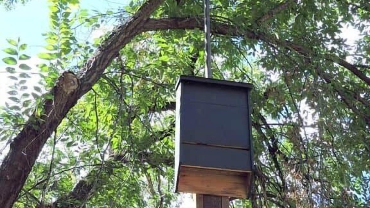 Photo of Others in Prescott