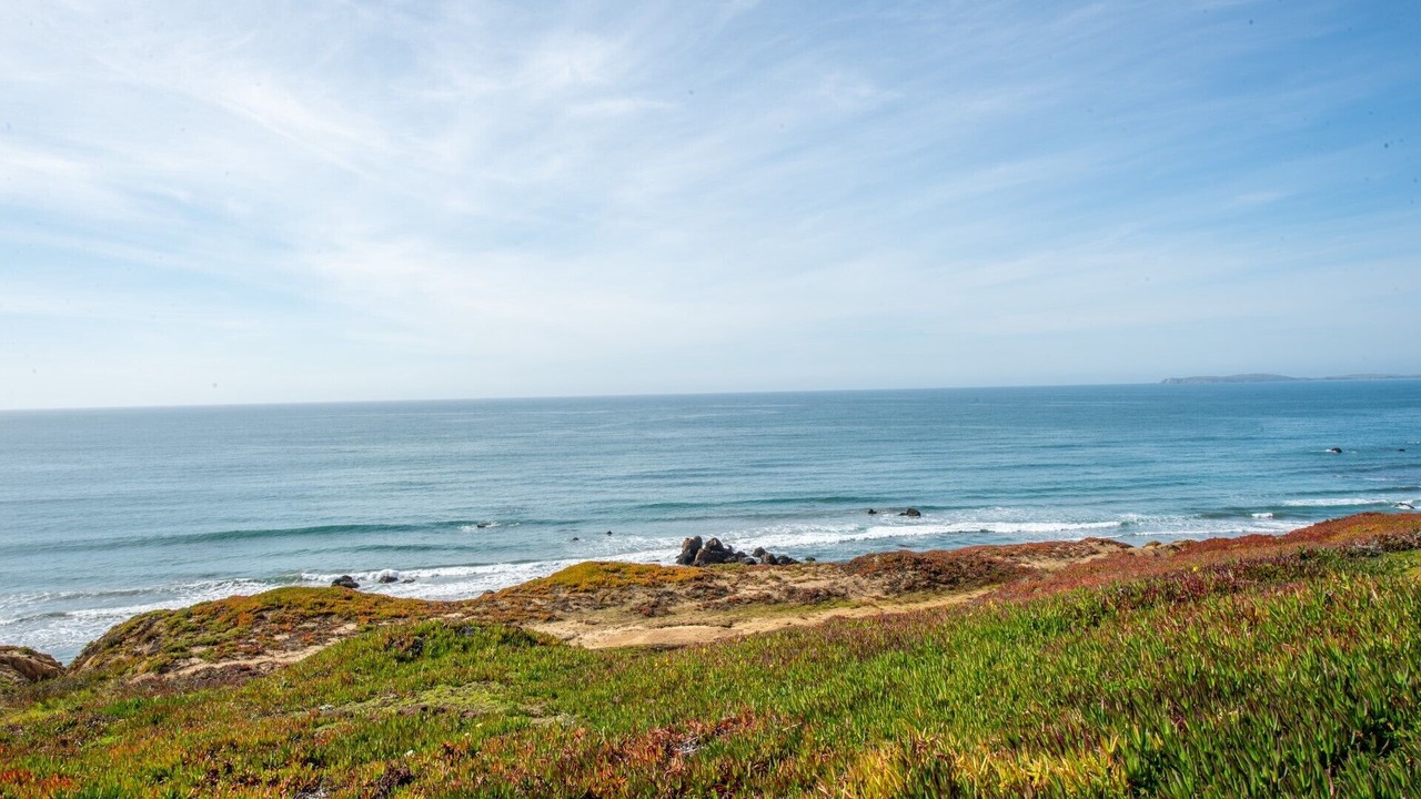 Photo of Others in Dillon Beach