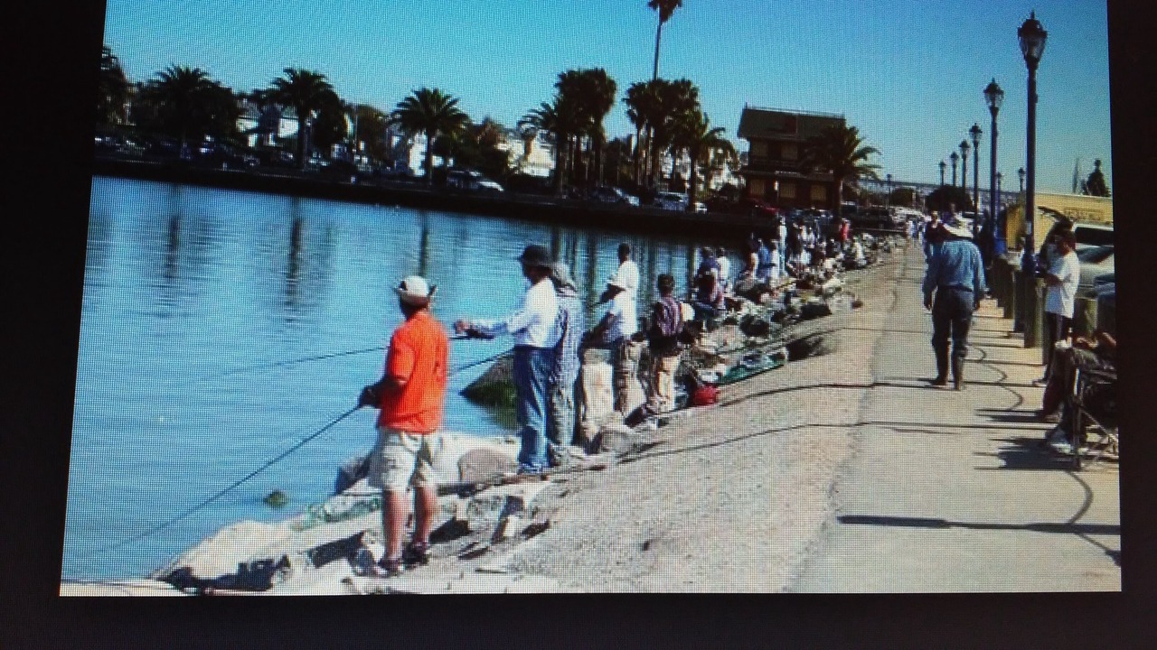 Photo of Others in Benicia