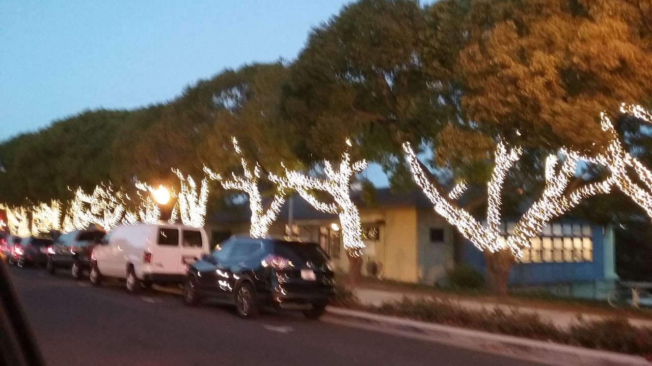 Photo of Others in Benicia