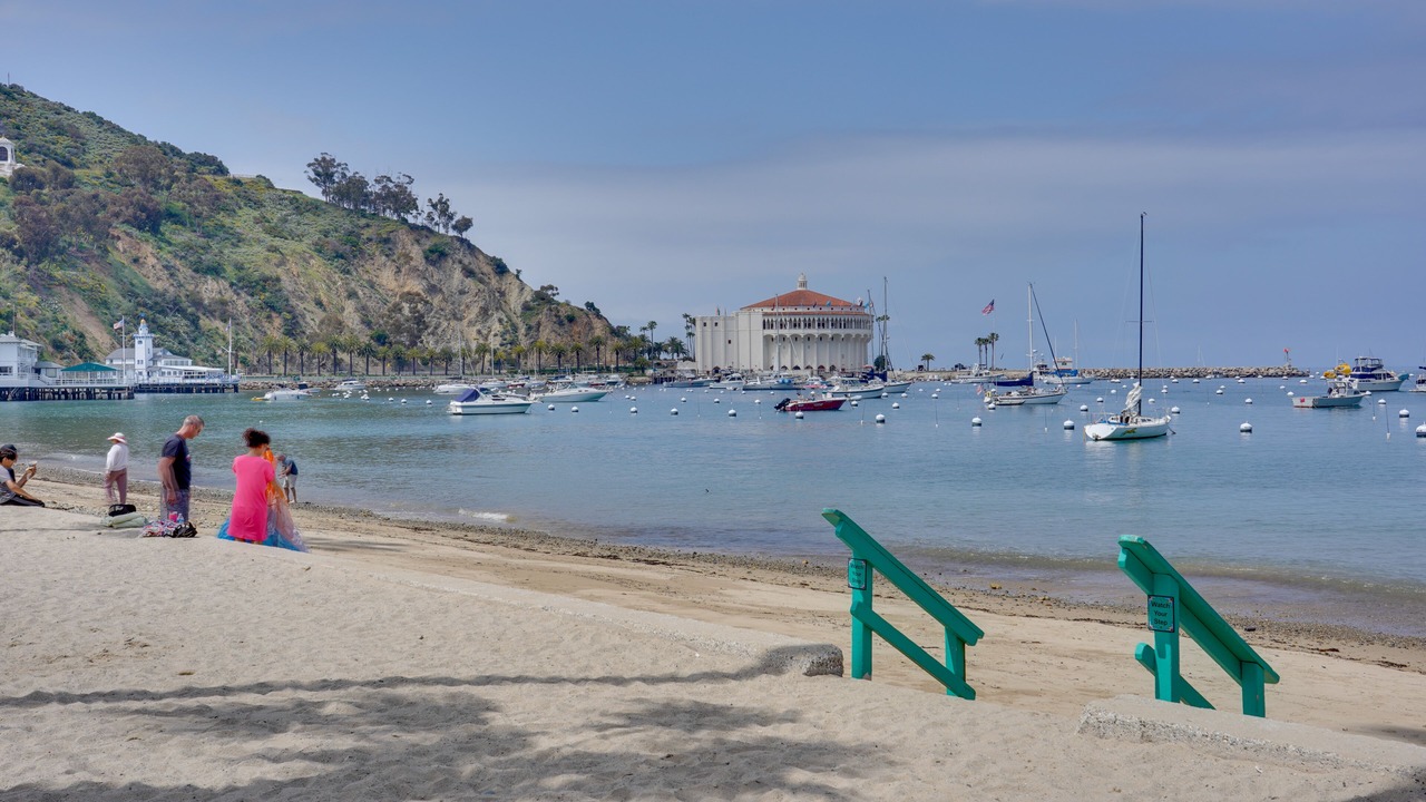 Photo of Others in Avalon