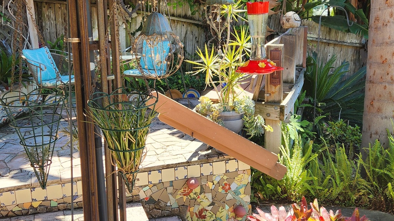 Photo of Outdoor in Vista