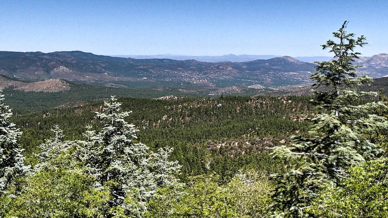 Photo of Others in Prescott