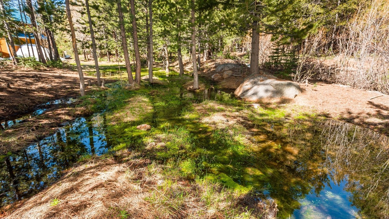 Photo of Others in Truckee
