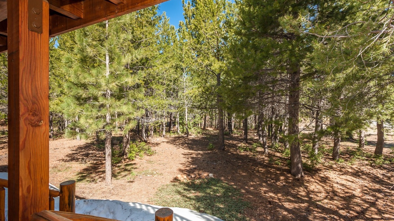Photo of Others in Truckee