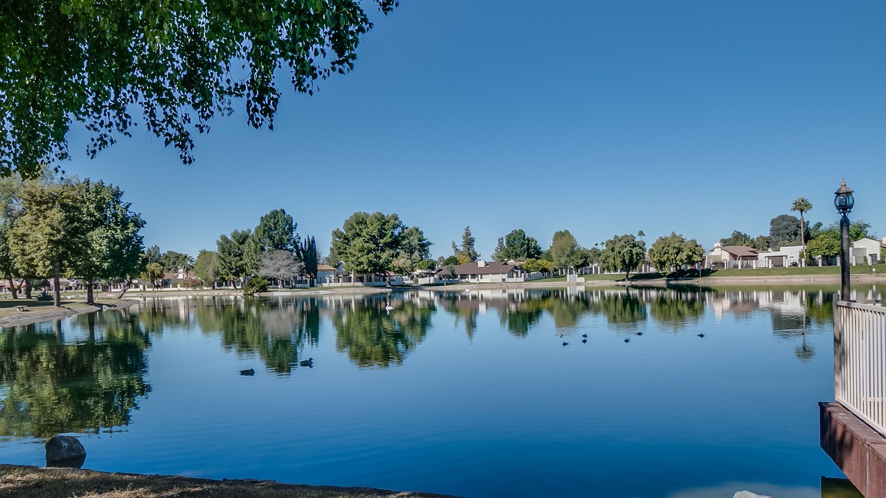 Photo of Others in Desert Shores