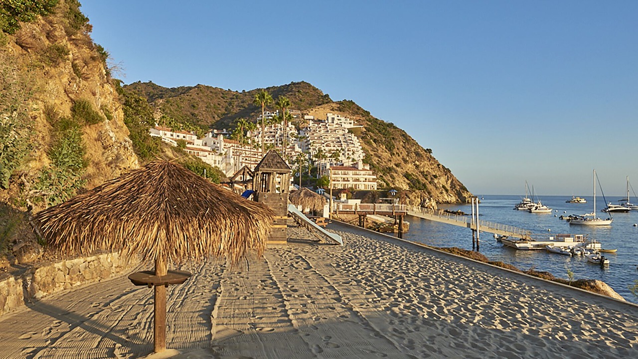 Photo of Others in Avalon