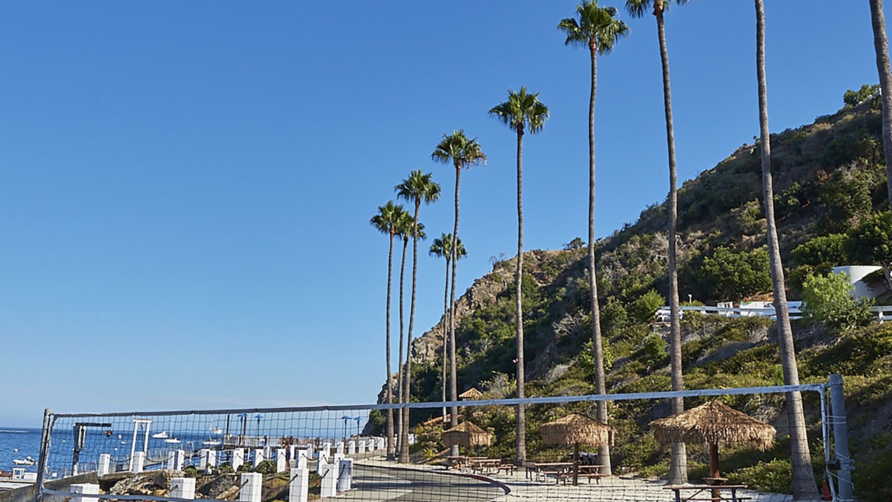 Photo of Others in Avalon