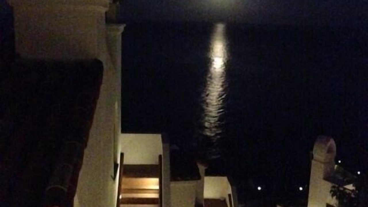 Photo of Others in Avalon