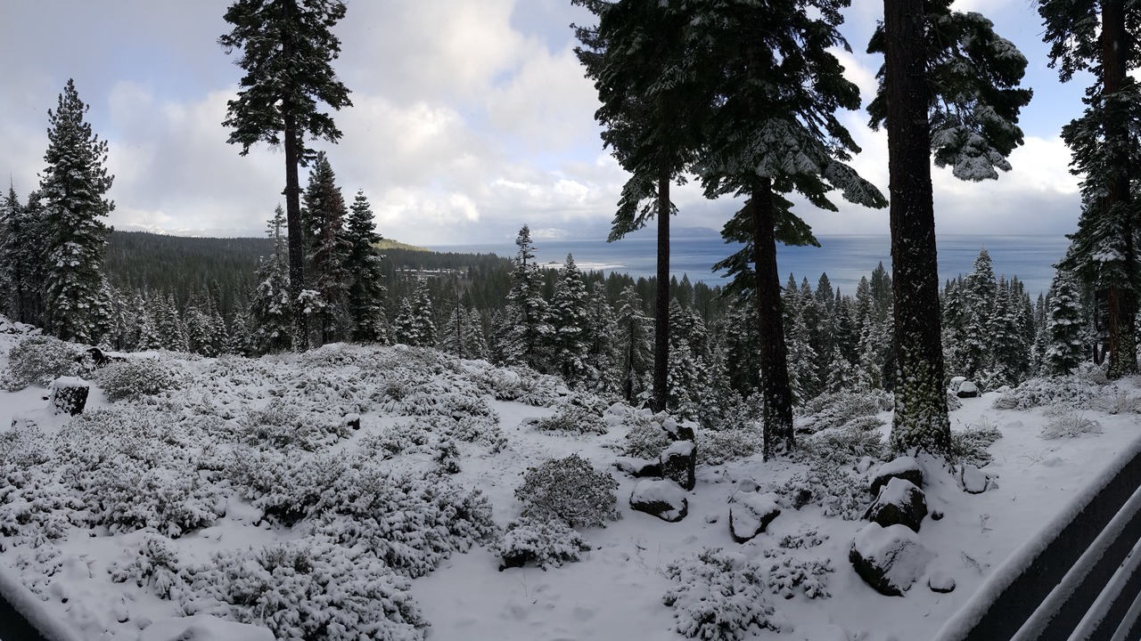 Photo of Others in Tahoe City