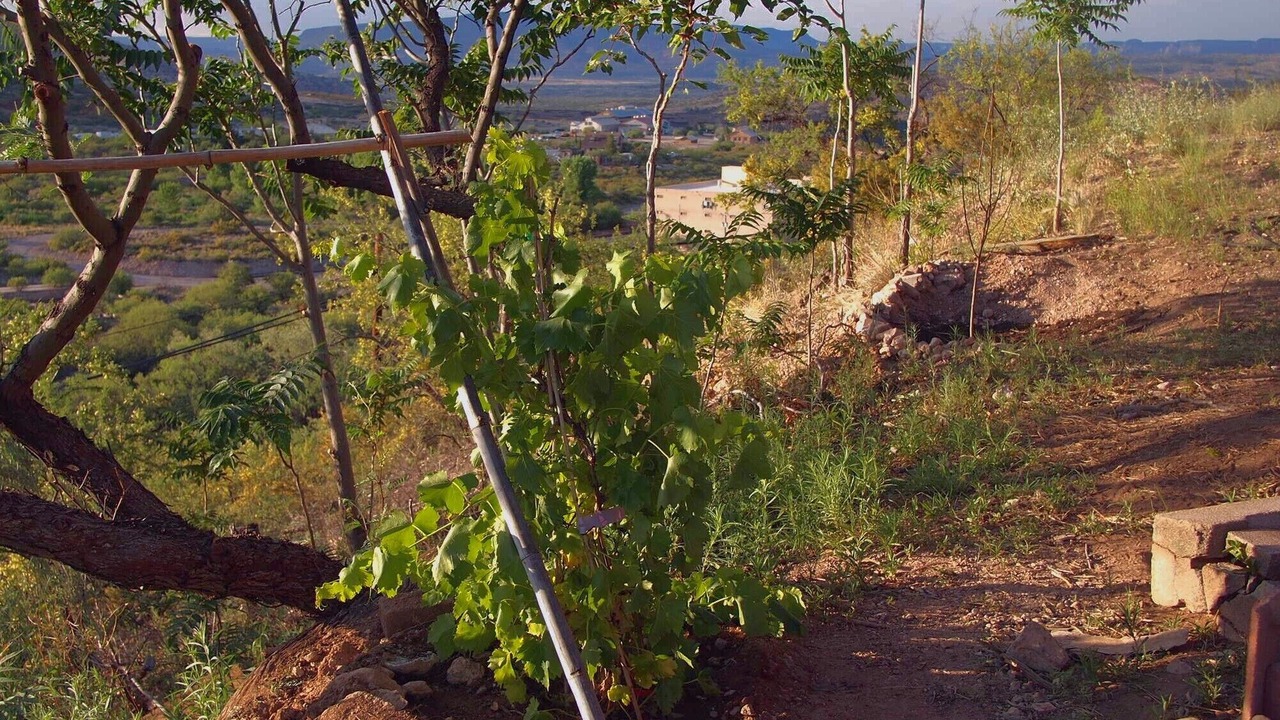 Photo of Others in Clarkdale