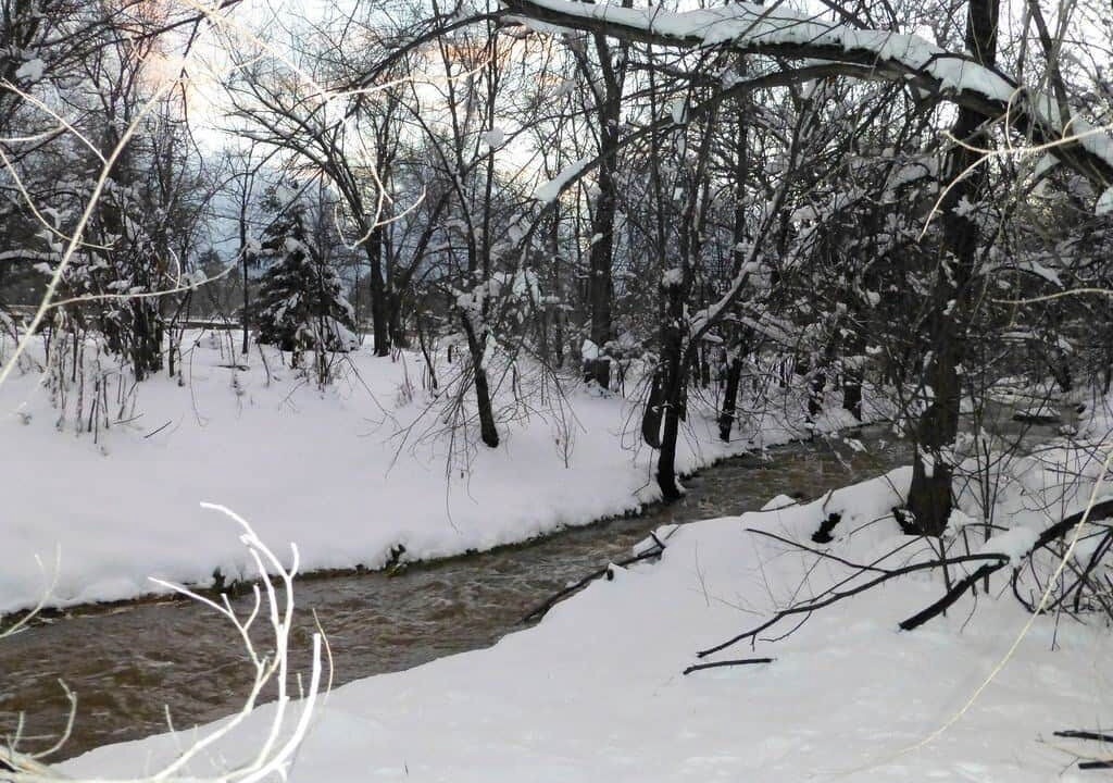 Photo of Others in Prescott