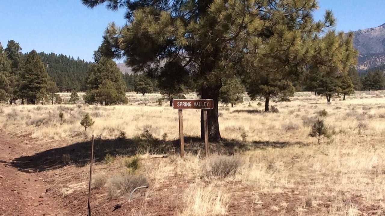 Photo of Others in Parks
