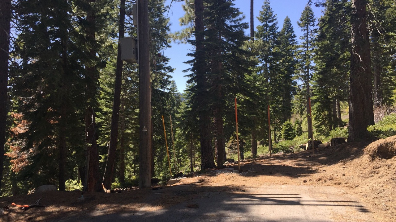 Photo of Others in Tahoe Woods