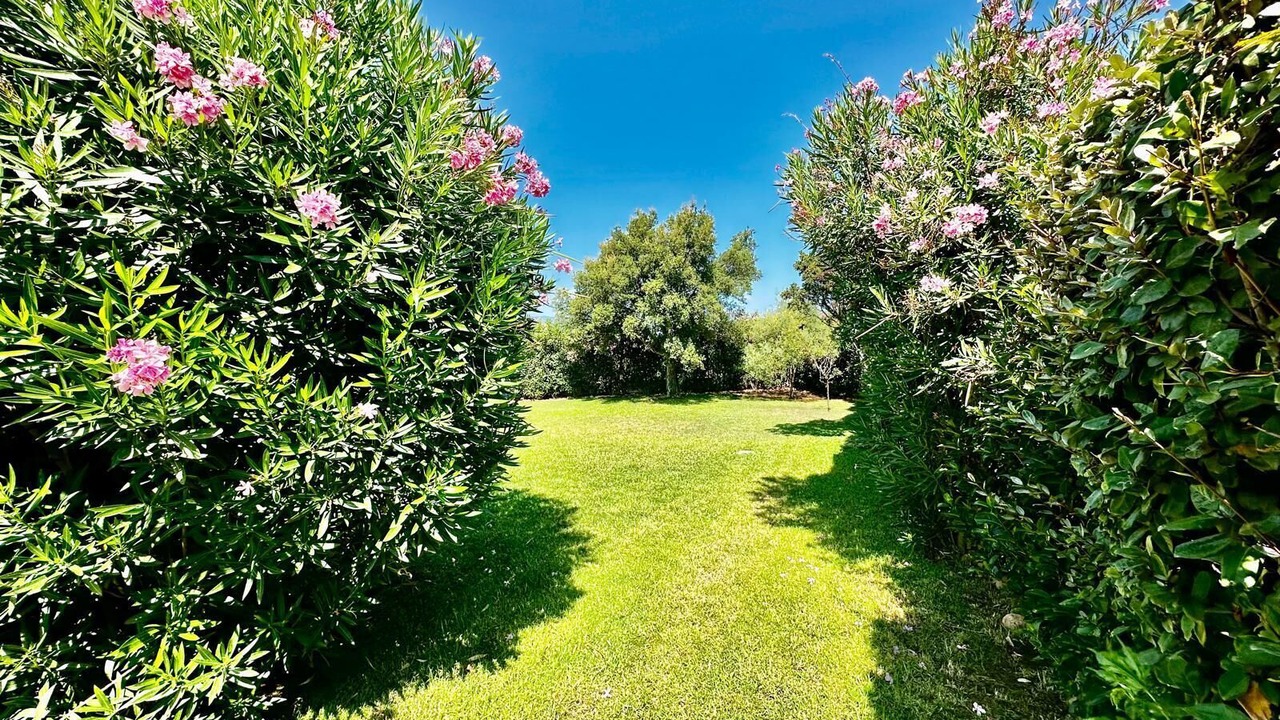 Photo of Outdoor in Lecci