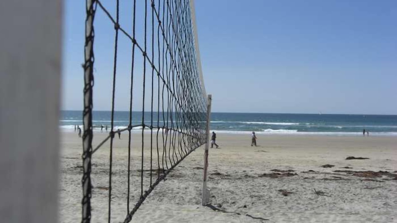 Photo of Others in Mission Beach