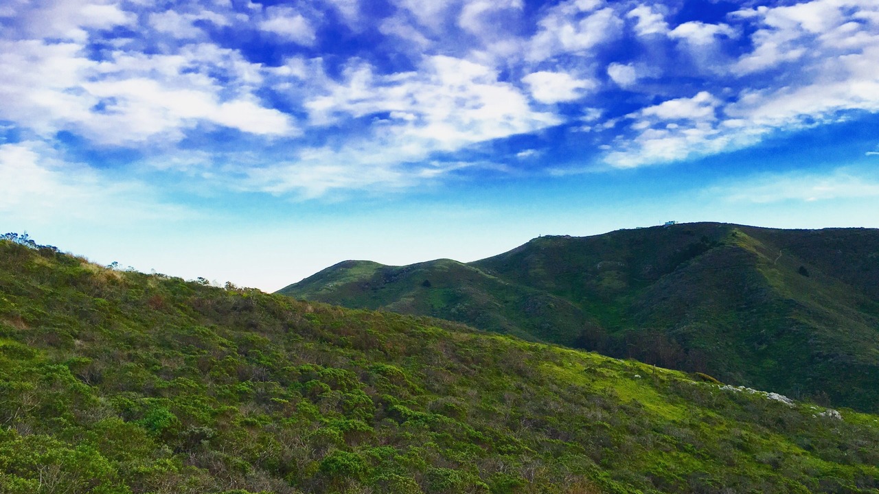 Photo of Outdoor in Mill Valley