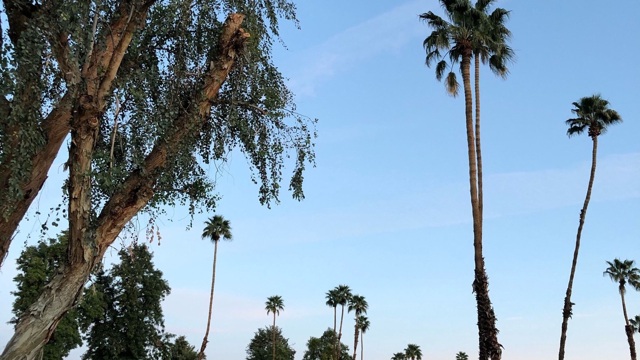 Photo of Others in Palm Desert