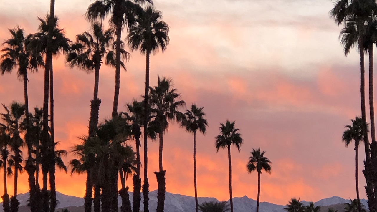 Photo of Others in Palm Desert