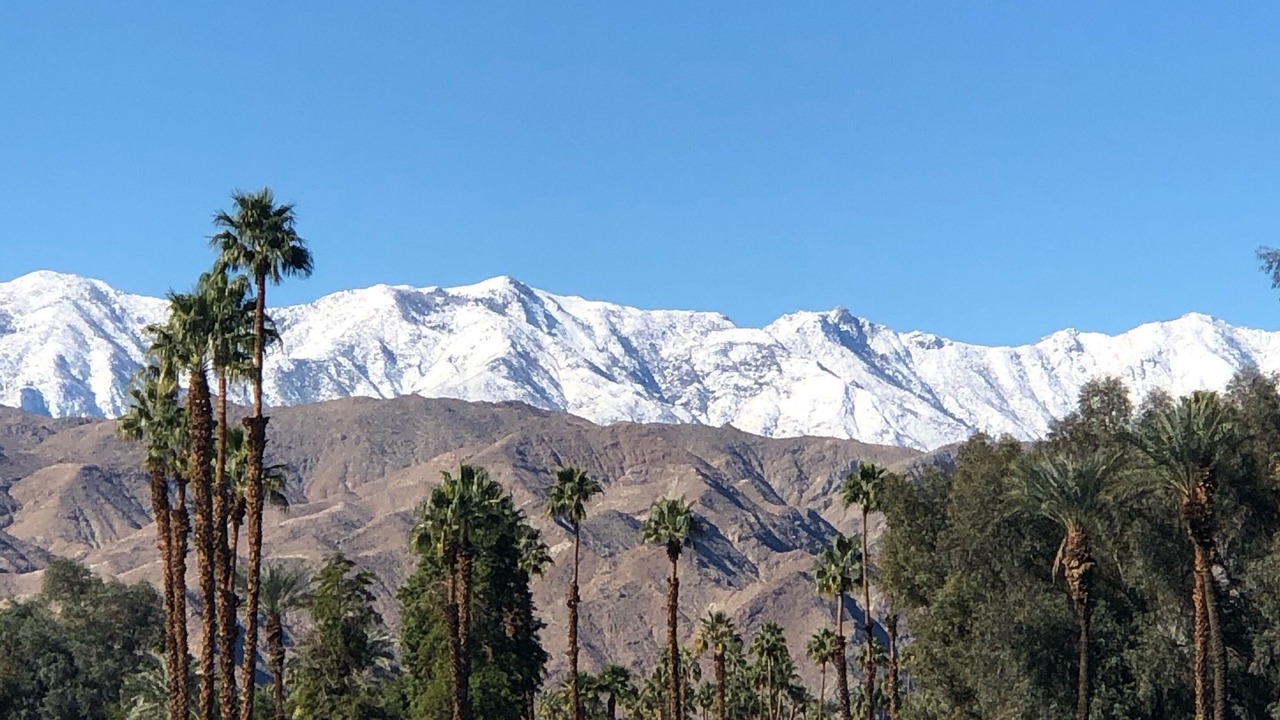 Photo of Others in Palm Desert
