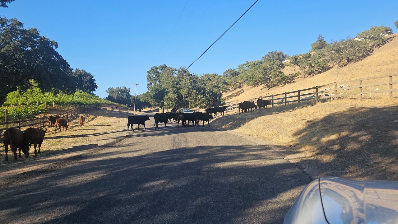 Photo of Others in Santa Ynez