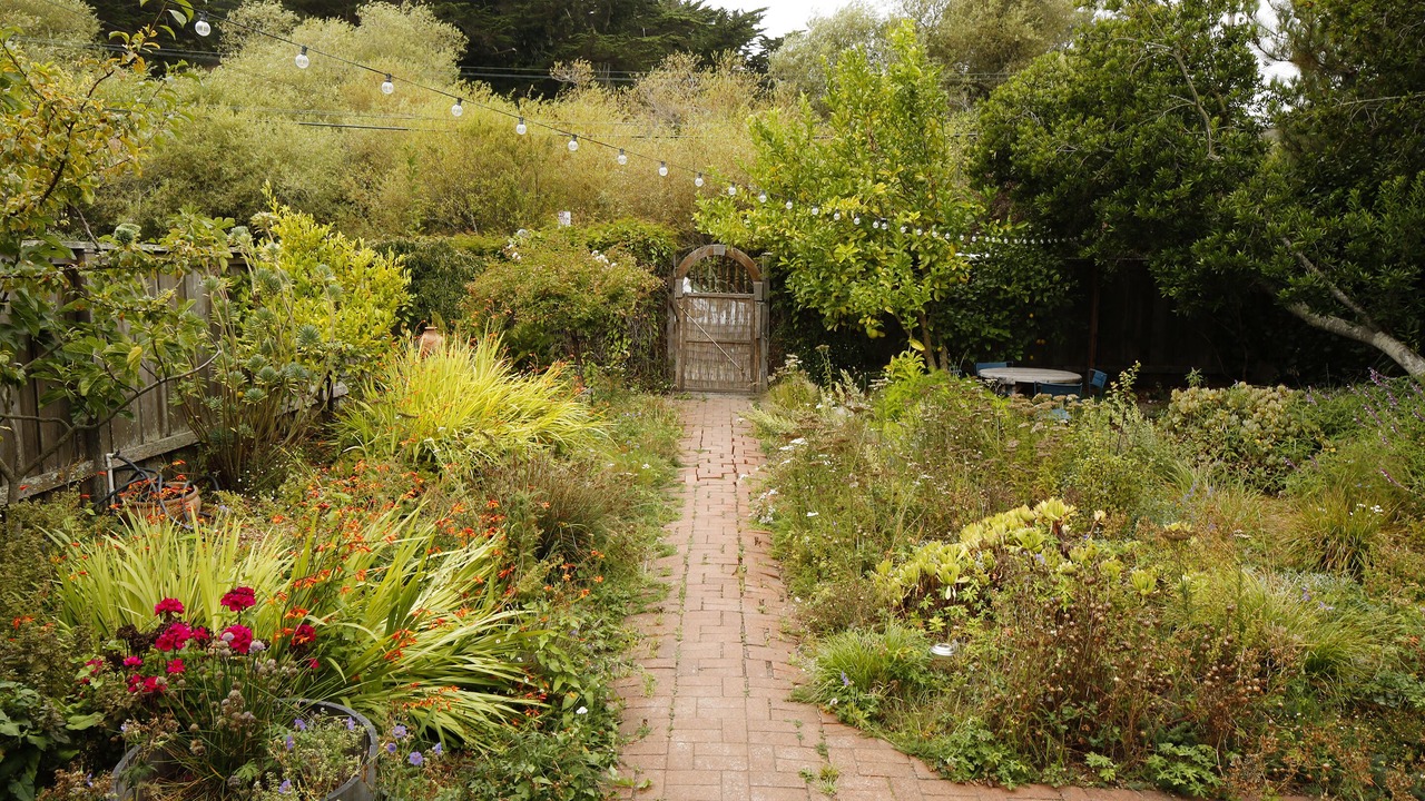 Photo of Outdoor in Bolinas