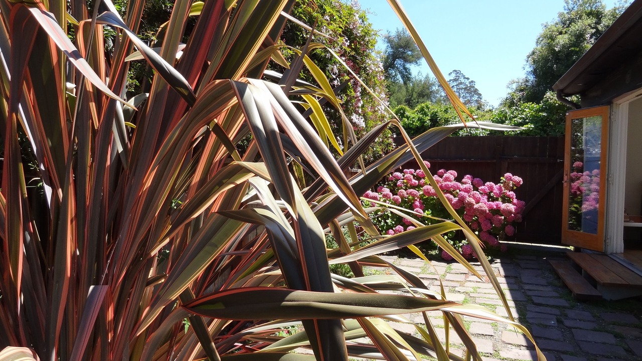 Photo of Others in Bolinas