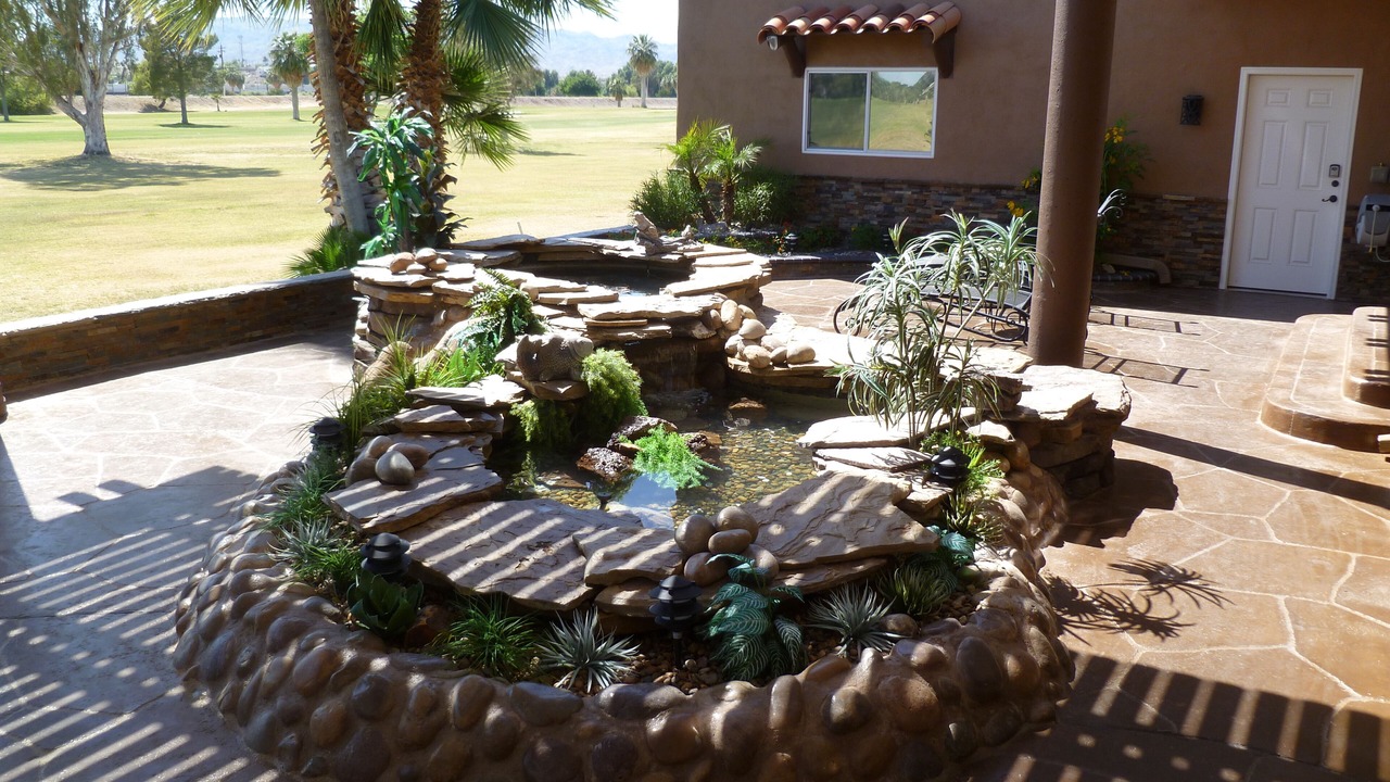 Photo of Outdoor in Needles