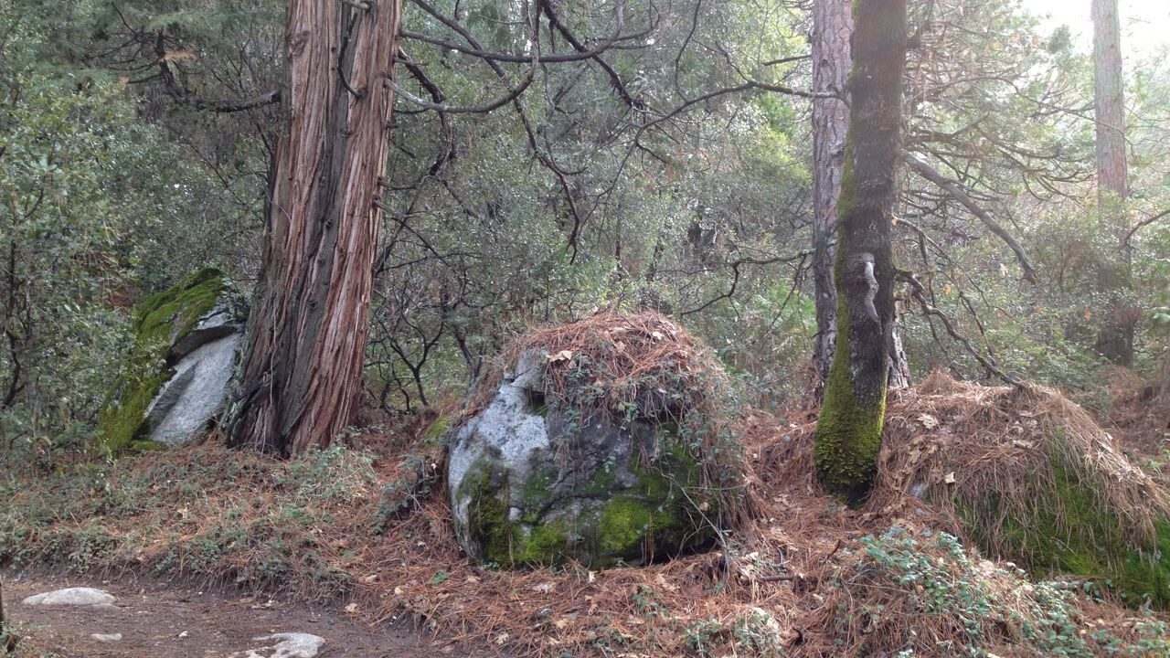 Photo of Others in Nevada City