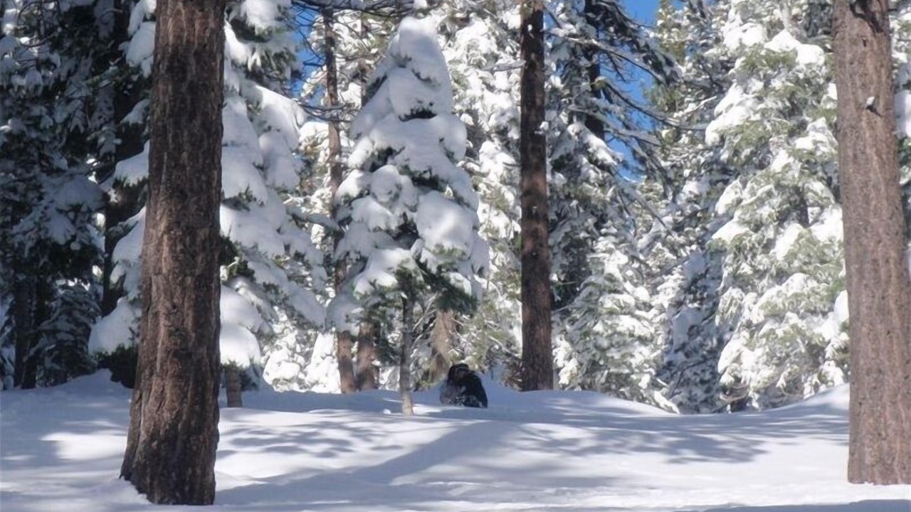 Photo of Others in Truckee
